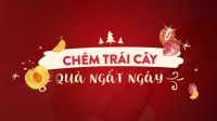 CHÉM TRÁI CÂY – QUÀ NGẤT NGÂY